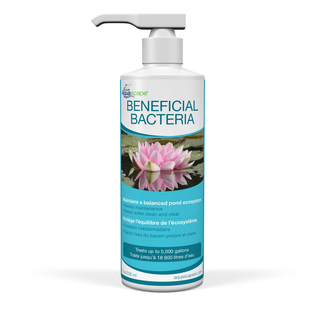 (image for) Aquascape Beneficial Bacteria for Ponds (Liquid) - 16 oz